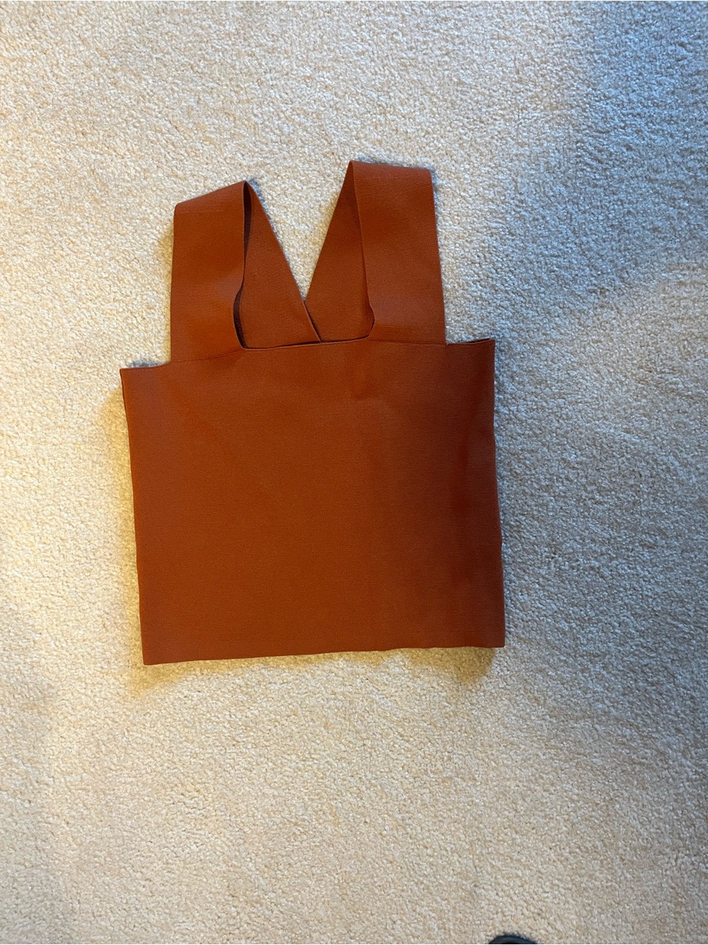 House of Harlow 1960 Burnt Orange Knit Tank